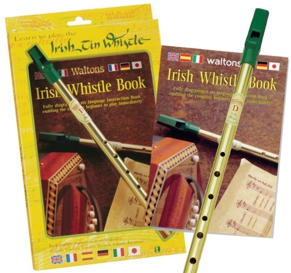 Partitura para instrumentos de sopro Music Sales Learn To Play The Irish Tin Whistle Livro de música