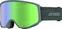Ski Goggles Atomic Four Q HD Grey/Green HD Ski Goggles