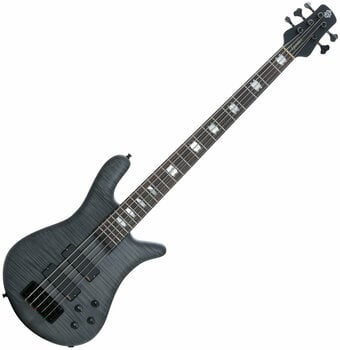 5-string Bassguitar Spector EuroLX 5 Black Stain Matte - 1