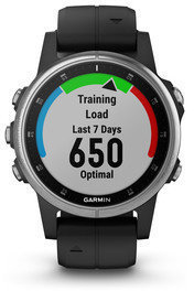 Reloj inteligente / Smartwatch Garmin fenix 5S Plus Silver/Black