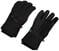 Ski Gloves Oakley Tnp Snow Glove Blackout XS Ski Gloves