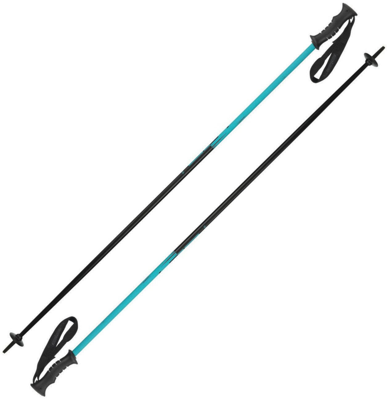 Ski Poles Elan Blue Magic 110 18/19