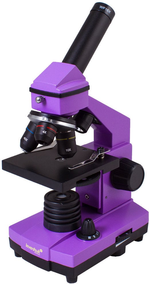 Microscópio Levenhuk Rainbow 2L Amethyst Microscópio Microscópio