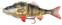 Isca de borracha Savage Gear 4D Line Thru Perch Perch 17 cm 63 g
