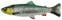 Gumihal Savage Gear 4D Line Thru Pulse Tail Trout Green Silver 16 cm 51 g