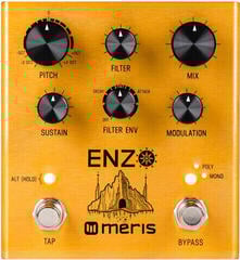 Effet guitare Meris Enzo Effet guitare