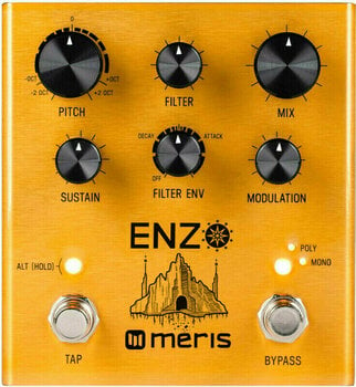 Kytarový efekt Meris Enzo - 1