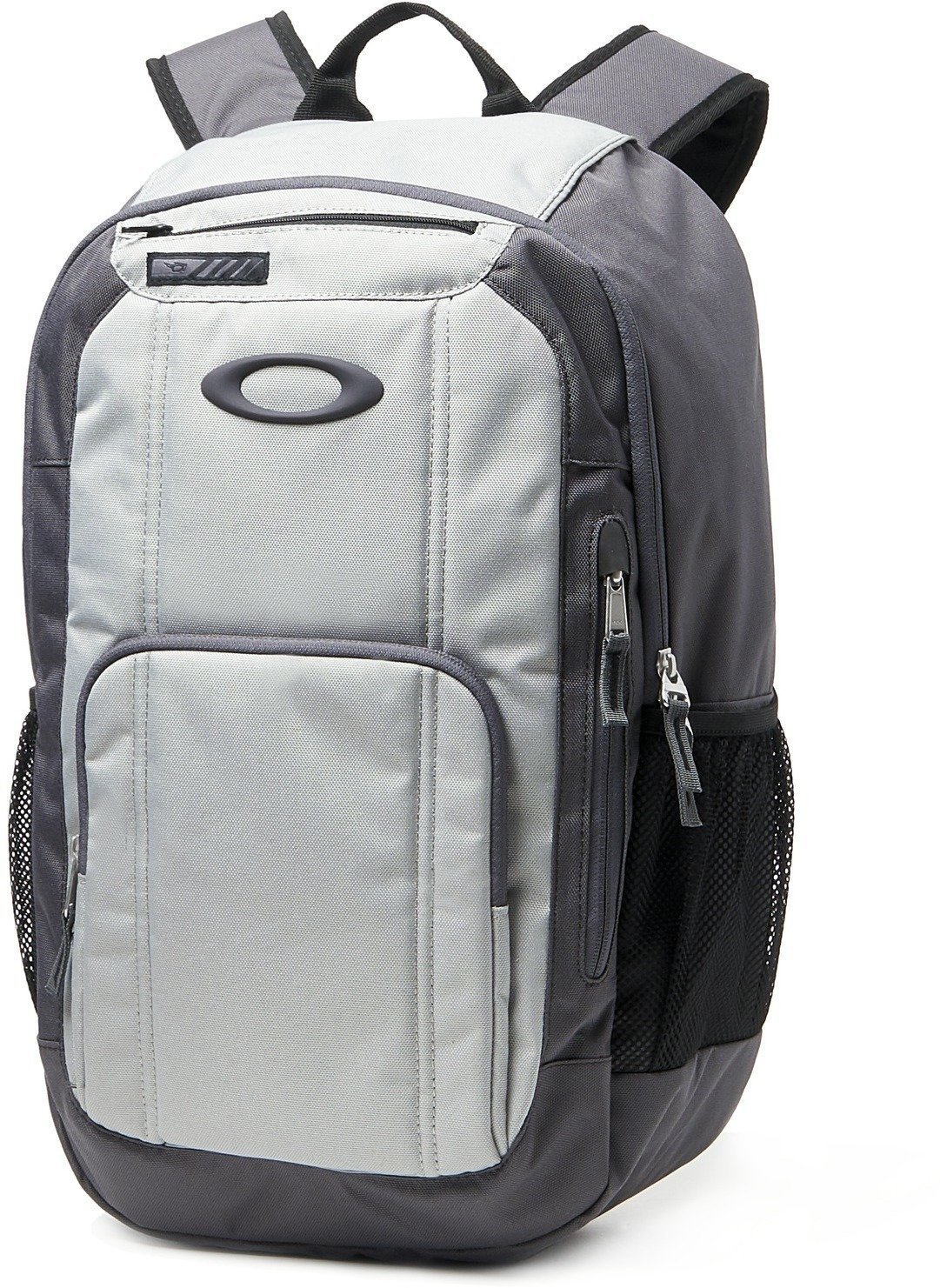Lifestyle Backpack / Bag Oakley Enduro 25L 2.0 Forged Iron 25 L Backpack