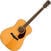electro-acoustic guitar Fender PM-1E Standard Natural