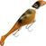 Vobler Headbanger Lures Shad Floating Rusty Perch 16 cm 26 g
