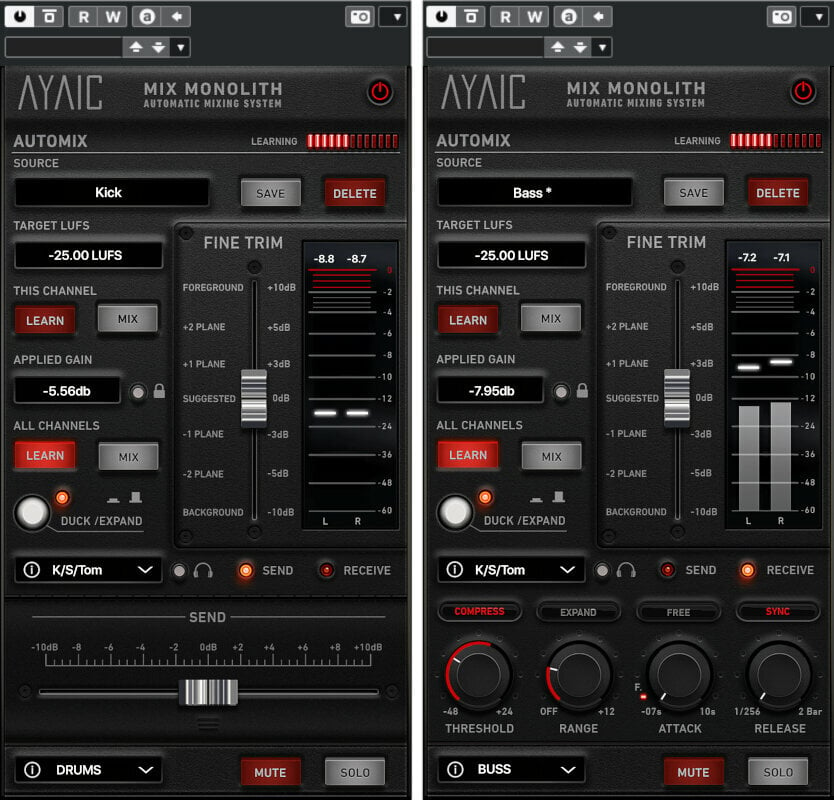 Programska oprema za urejanje zvoka AyaicWare Mix Monolith (Digitalni izdelek)