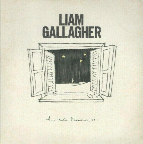 LP ploča Liam Gallagher - All You'Re Dreaming Of (LP)
