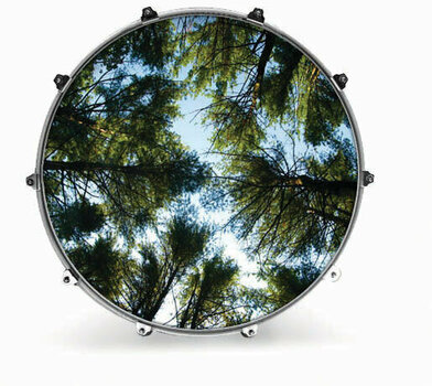 Cabeza de tambor resonante Evans INK24NTRTRE2 24" NATURE TREE 2 Cabeza de tambor resonante - 1