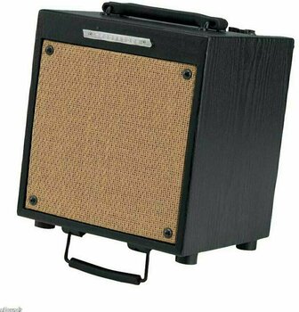 Kombo pre elektroakustické nástroje Ibanez T 10 - 1