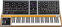 Synthesizer MOOG One - 16