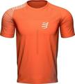 Compressport Performance SS Tshirt M Orangeade/Fjord Blue XL Running t-shirt with short sleeves