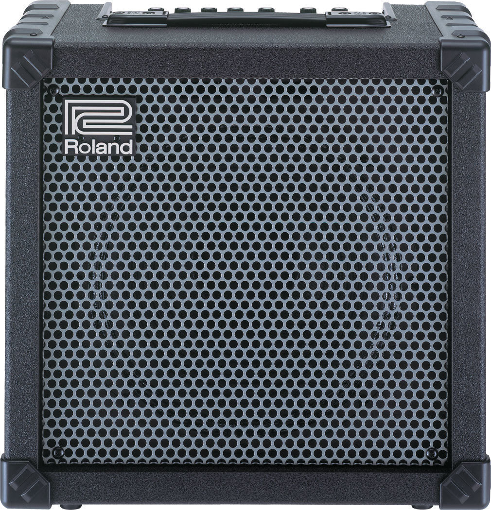 Roland CUBE 20XL - Muziker