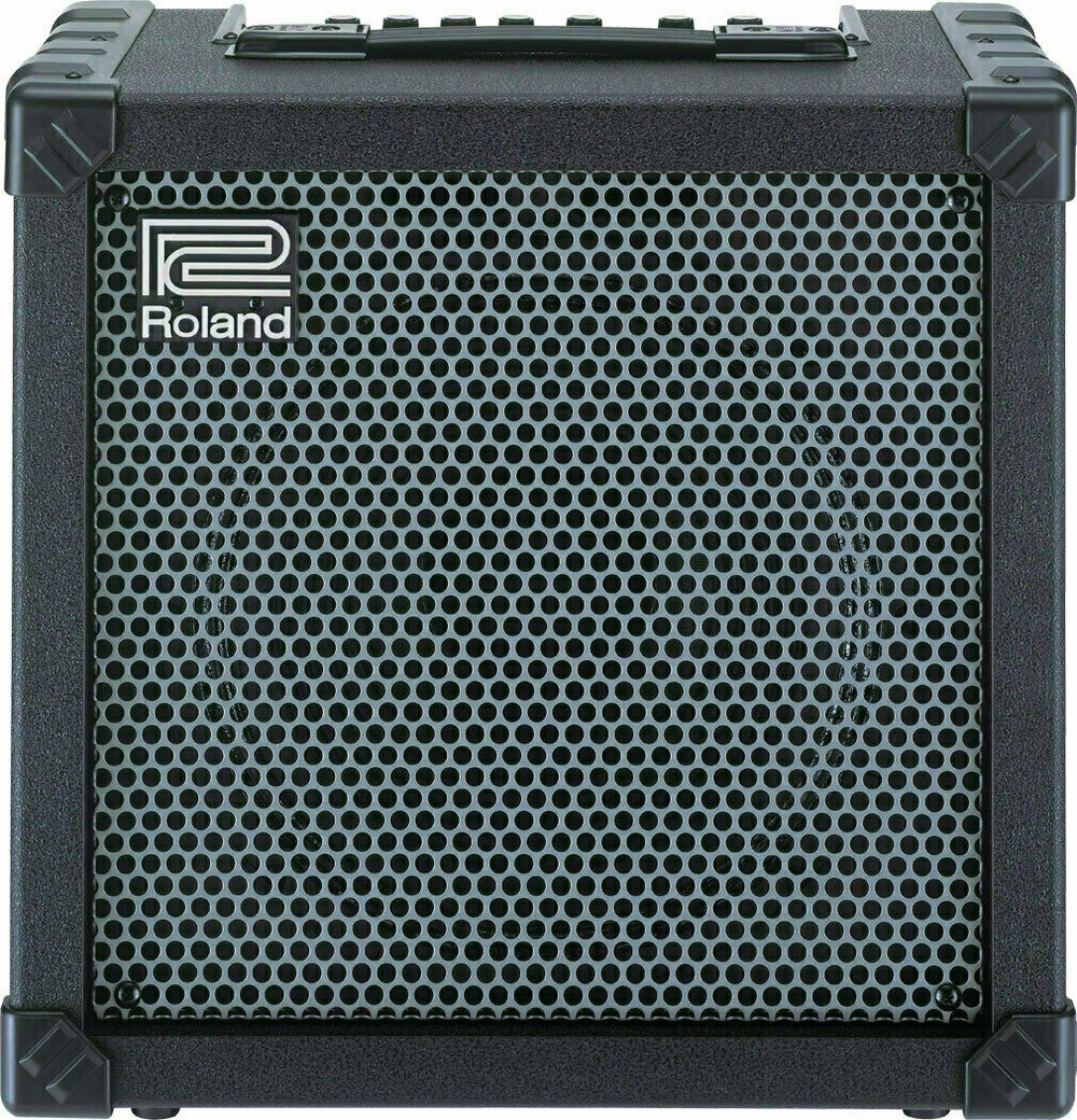 Roland CUBE 20XL - Muziker