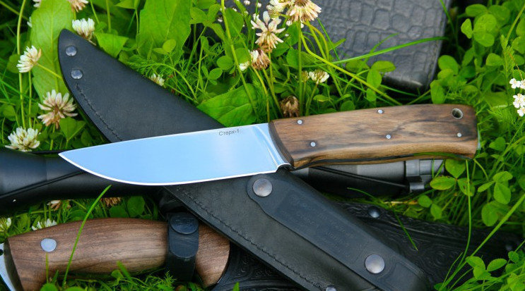 Turistički nož Kizlyar Sterkh 1 Wood