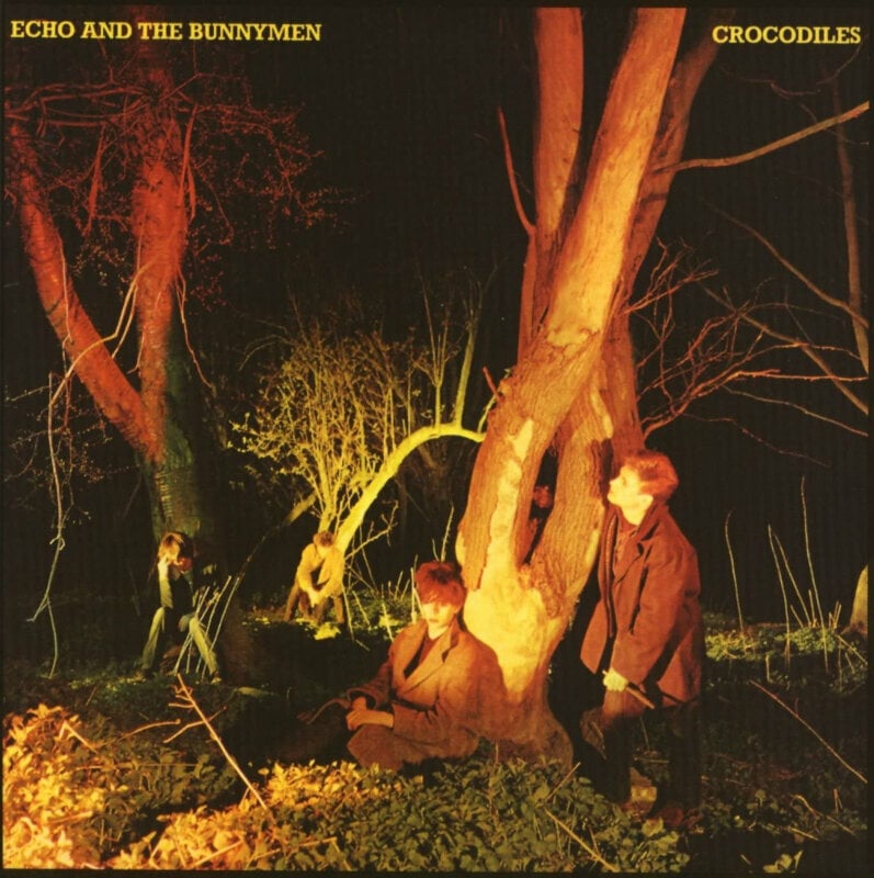 Vinyl Record Echo & The Bunnymen - Crocodiles (LP)