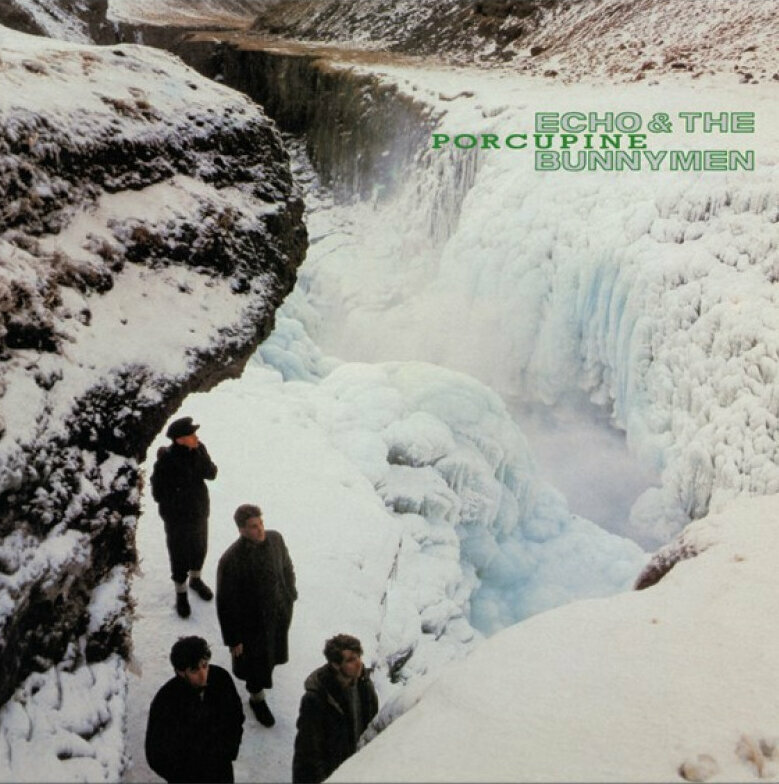 Vinyylilevy Echo & The Bunnymen - Porcupine (LP)