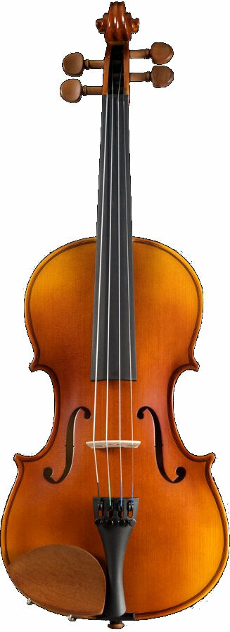 Violin Pearl River PR-V01 1/2