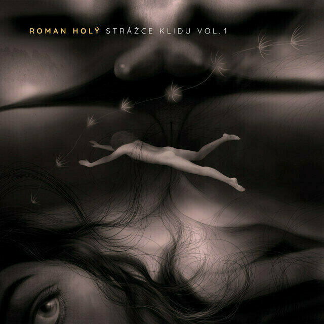 Schallplatte Roman Holý - Strážce Klidu Vol.1 (2 LP)