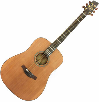 Guitarra acústica Pasadena D222S - 1