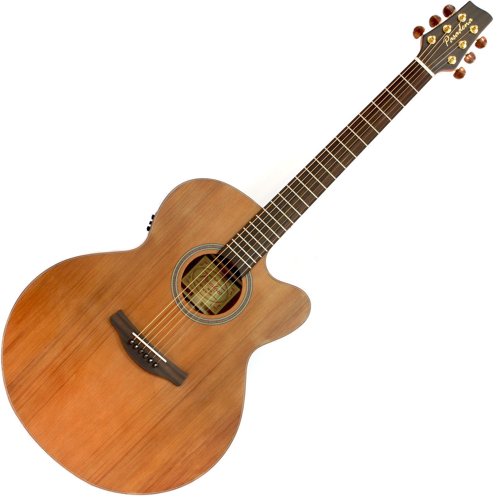 Jumbo elektro-akoestische gitaar Pasadena J222SCE