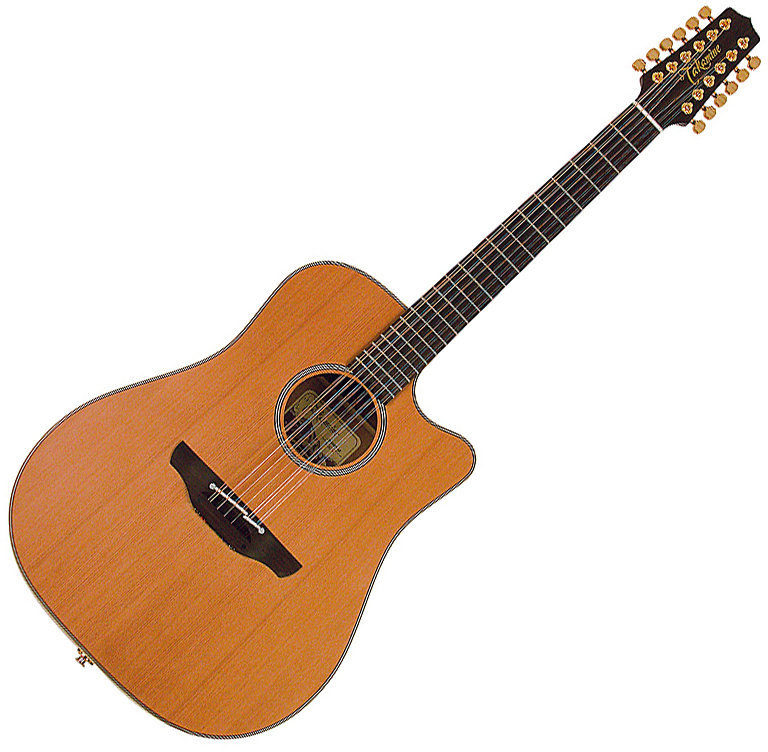 12-snarige elektrisch-akoestische gitaar Takamine ETN 10 C 12