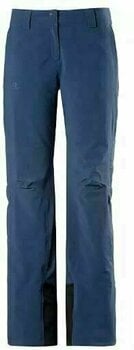 salomon icemania pant w