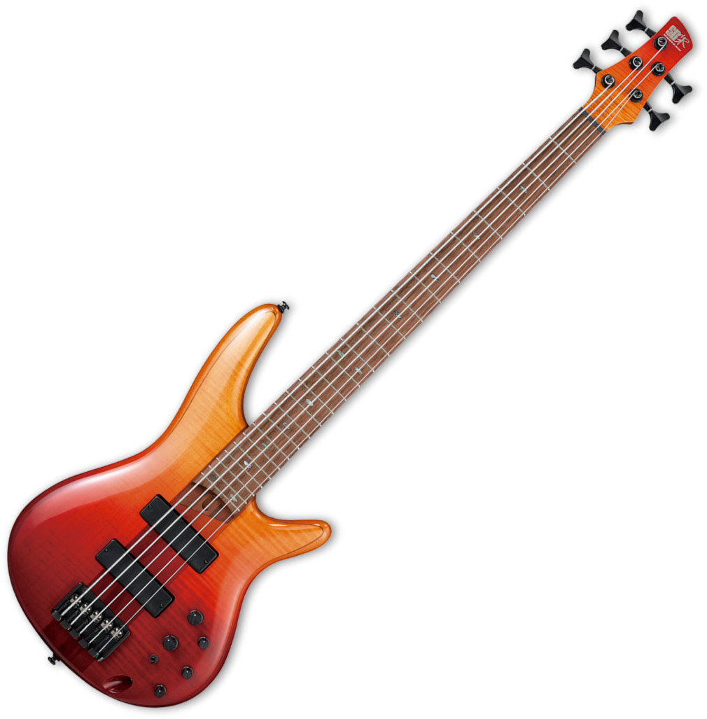 4-string Bassguitar Ibanez SR875-ALG Autumn Leaf Gradation