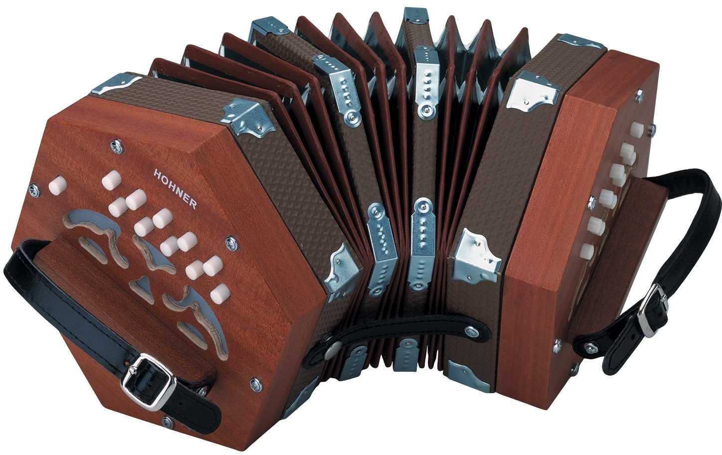 Piano accordion
 Hohner Concertina