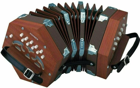 Piano accordion
 Hohner Concertina - 1
