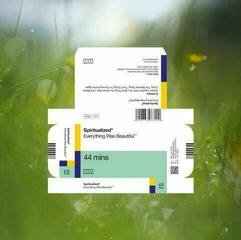 Hanglemez Spiritualized - Everything Was Beautiful (LP)