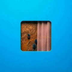 Schallplatte Modern Error - Victim Of A Modern Age (2 LP)
