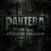 Vinyl Record Pantera - 1990-2000: A Decade Of Domination (2 LP)