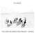 Disque vinyle PJ Harvey - The Hope Six Demolition Project - Demos (LP)