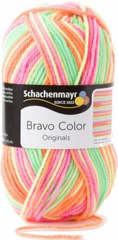 Fios para tricotar Schachenmayr Bravo Color Casablanca Color 02100 Fios para tricotar - 1