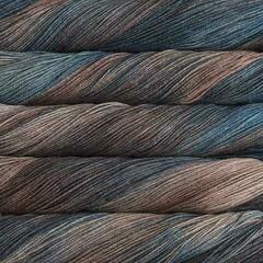 Fire de tricotat Malabrigo Sock Persia Fire de tricotat