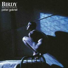 Vinylskiva Peter Gabriel - Birdy (LP)