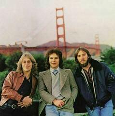 Hanglemez America - Hearts (Silver Vinyl) (LP)