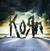 Płyta winylowa Korn - Path of Totality (180g) (LP)