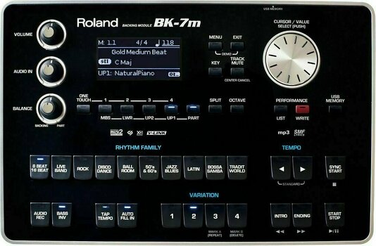 Samplers et systèmes modulaires Roland BK-7 Backing module - 1
