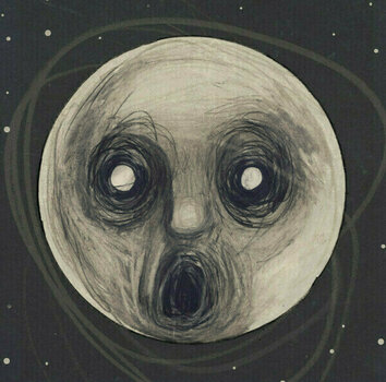 Vinylskiva Steven Wilson - Raven That Refused To Sing (And Other Stories) (2 LP) - 1