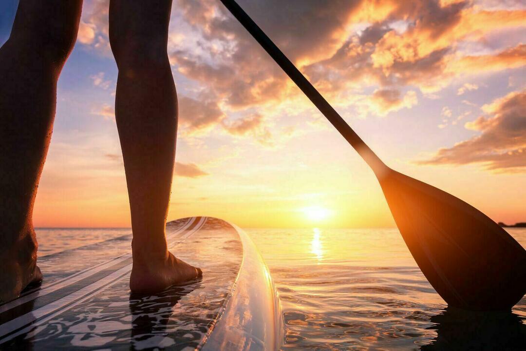 Veslo za veslanje na dasci: kako odabrati?