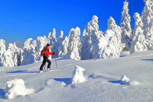 Wie wählt man die Ausrüstung für einen Skitouren-Einsteiger aus