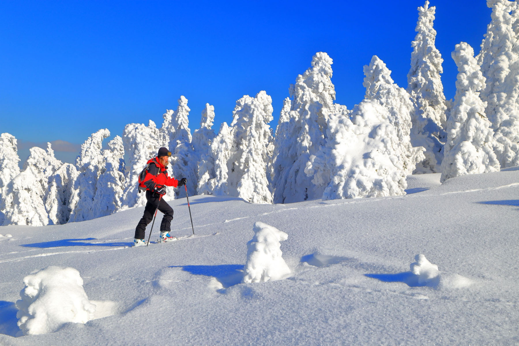 Wie wählt man die Ausrüstung für einen Skitouren-Einsteiger aus