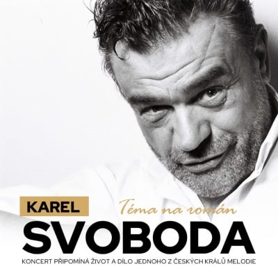 KAREL SVOBODA, TÉMA NA ROMÁN