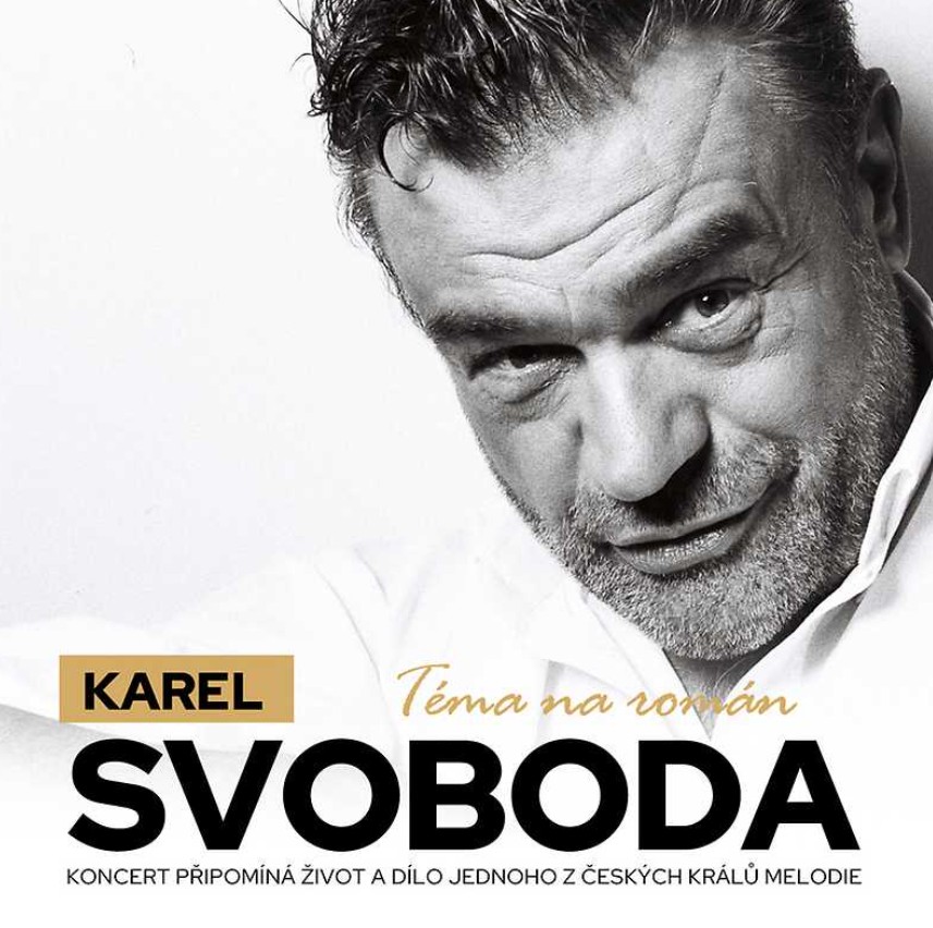 Karel Svoboda: Téma na román